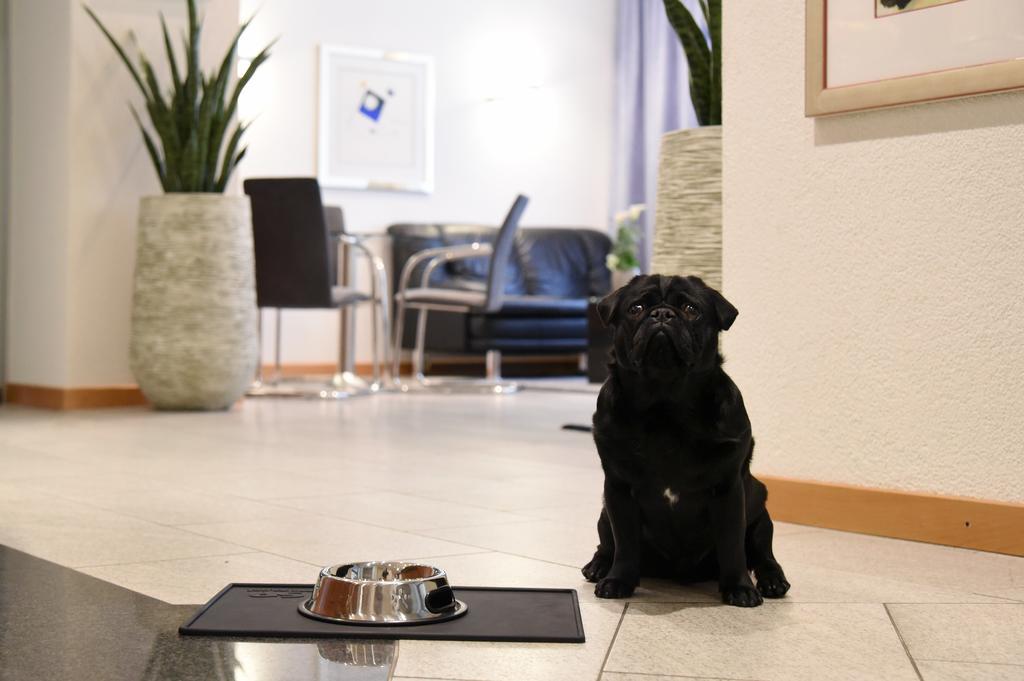 Hotel Engel Zofingen Kültér fotó